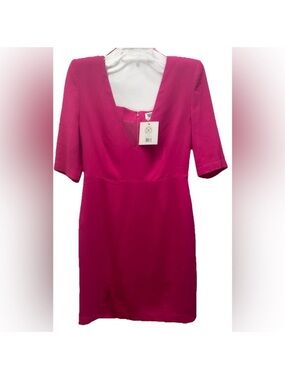 Lita by Ciara 🌸Fuchsia Short Sleeve V-Neck Dress